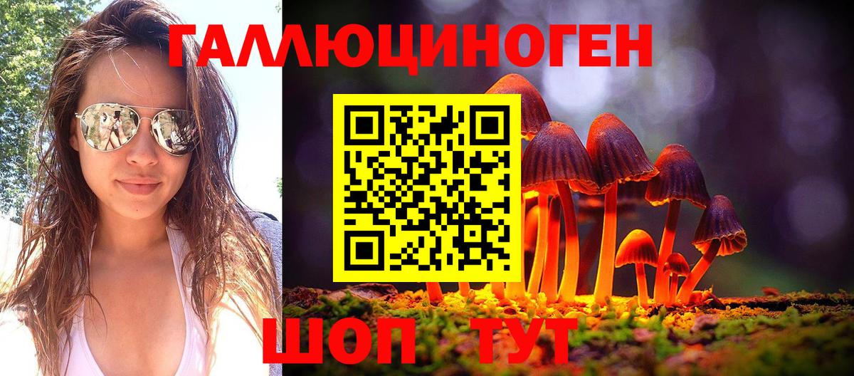 Галлюциногенные грибы Magic Shrooms  Псилоцибиновые грибы GOLDEN TEACHER  Ярославль  Вход с VPN 